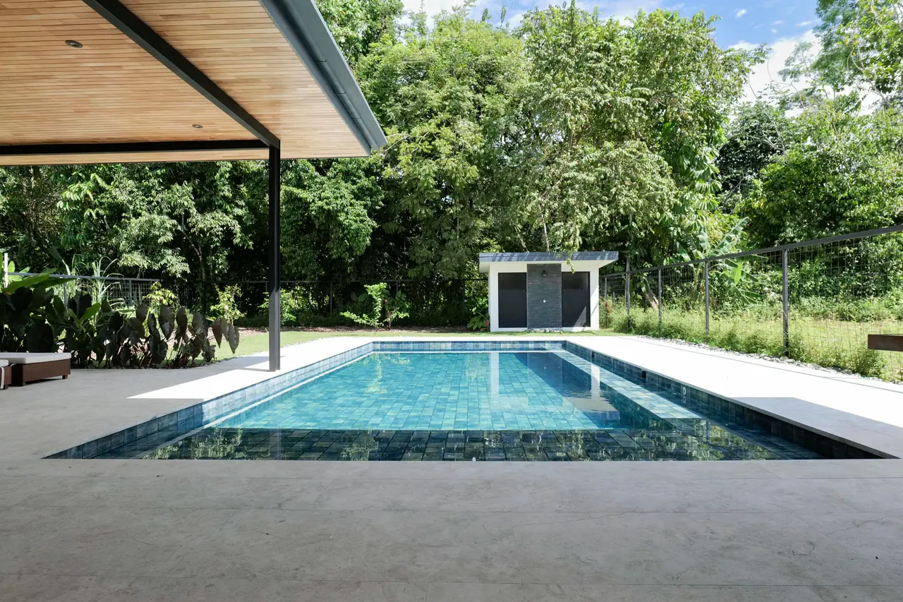 The pool at close range against the jungle boundary