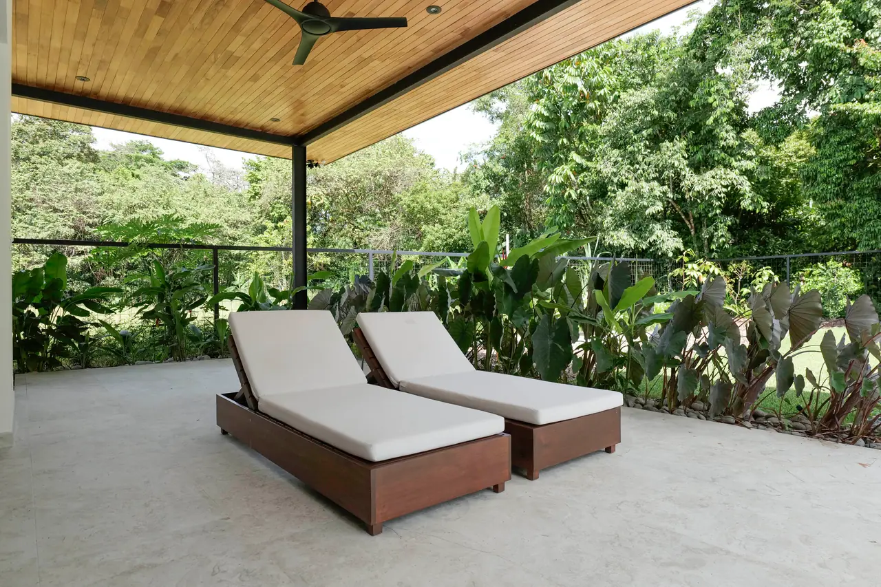 Sun loungers on the pool deck with jungle beyond